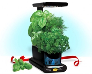 The AeroGarden Sprout Plus comes with a Gourmet Herbs Seed Kit